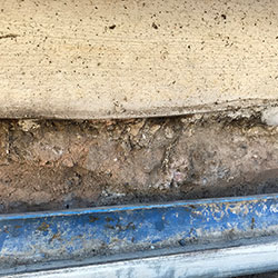 Es könnten auch Wurzeln sein: Stränge des Echten Hausschwamms (Serpula lacrymans)  zwischen Betonplatte und Fundament und im Erdreich
