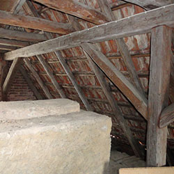 Hausbock - Altbefall in einem Dachstuhl - die Standsicherheit ist gefährdet